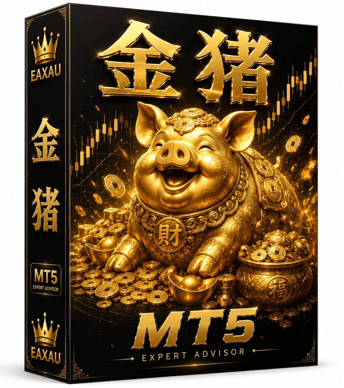 金猪M5破解 v1.0